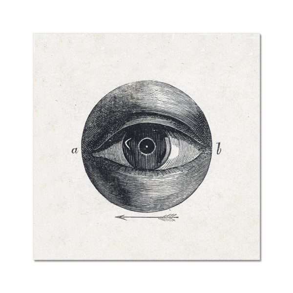 Menselijk oog met een afwijking (1836–1912) by Isaac Weissenbruch Art Arts Vale