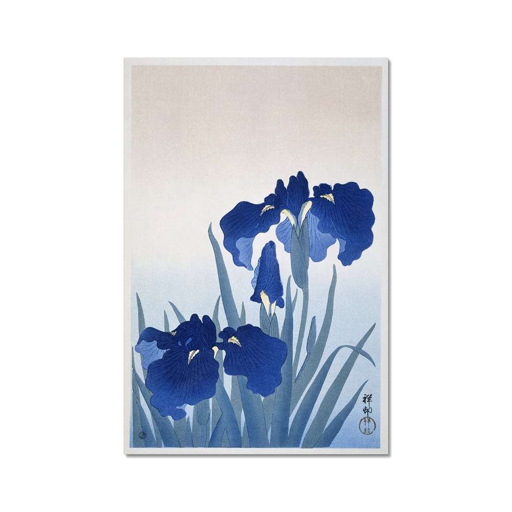 Iris flowers by Ohara Koson Flowers Arts Vale 2