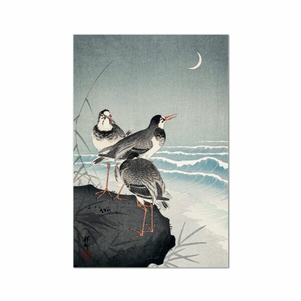 Snipes at the Shore by Ohara Koson Animals Arts Vale