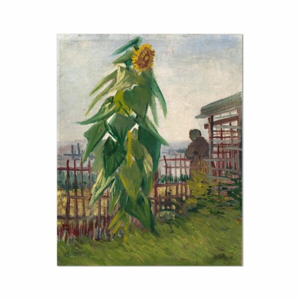 Vincent van Gogh’s Allotment with Sunflower Paintings Arts Vale