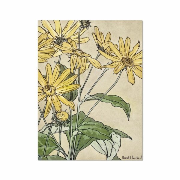 Sunflowers (1915) by Hannah Borger Overbeck. Flowers Arts Vale