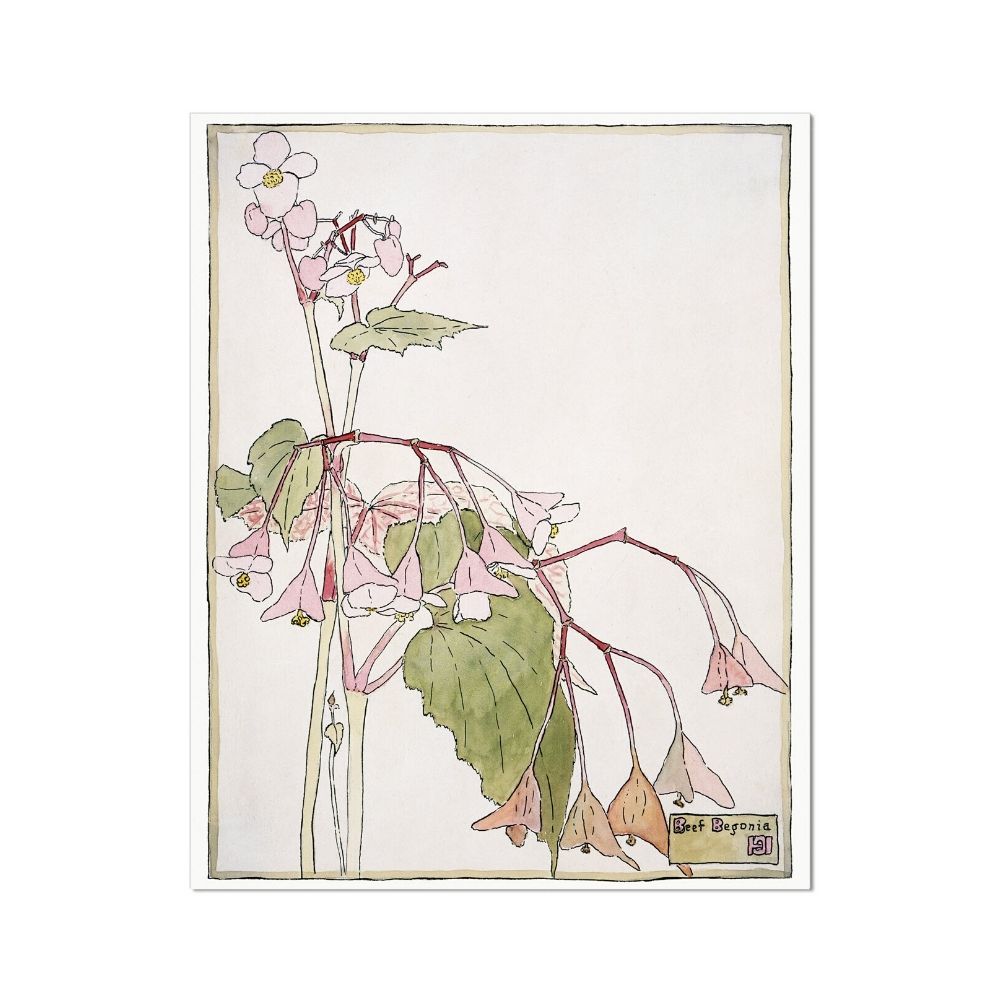 Begonia (1915) by Hannah Borger Overbeck Flowers Arts Vale 4