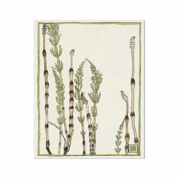 Horsetail (1915) by Hannah Borger Overbeck Flowers Arts Vale