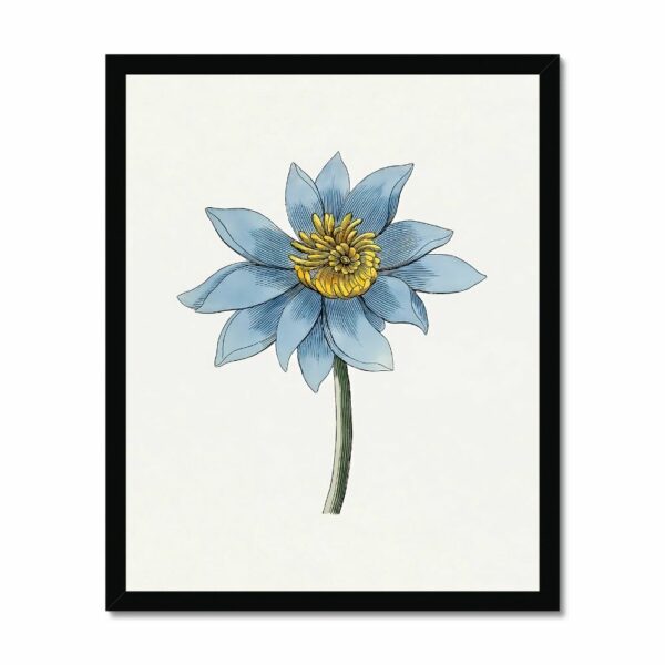 Hand drawn blue lotus Art Arts Vale